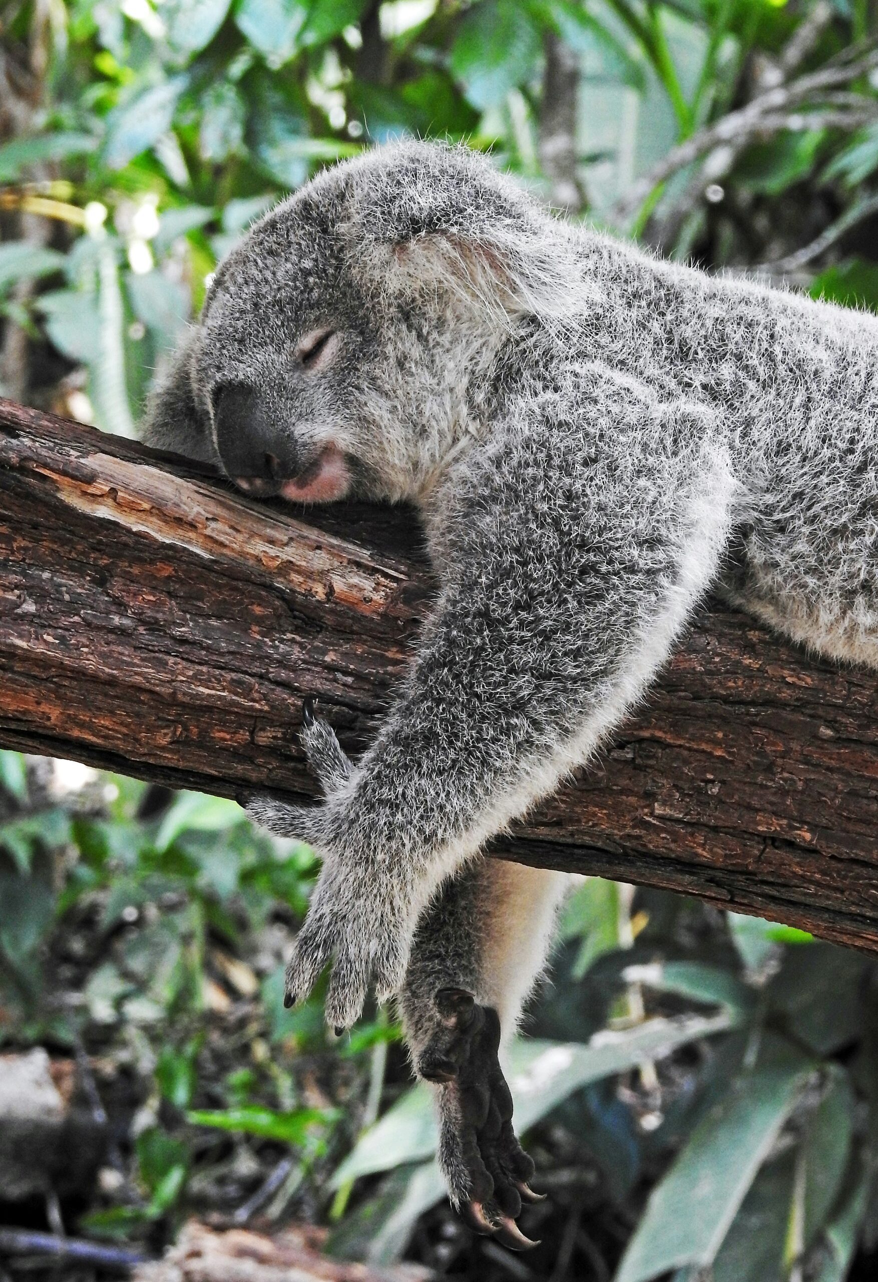 Deep sleep