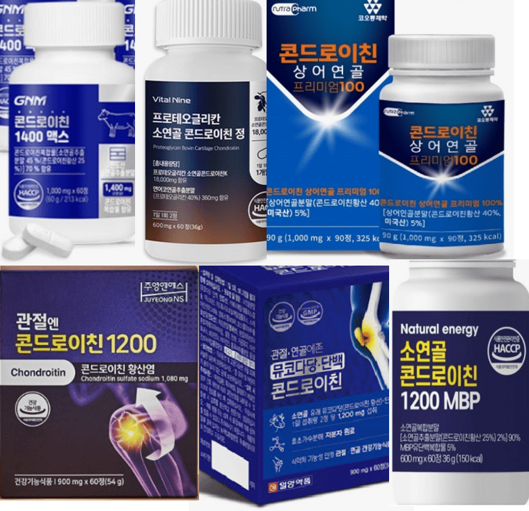 콘드로이친, 너 너무 어렵다!